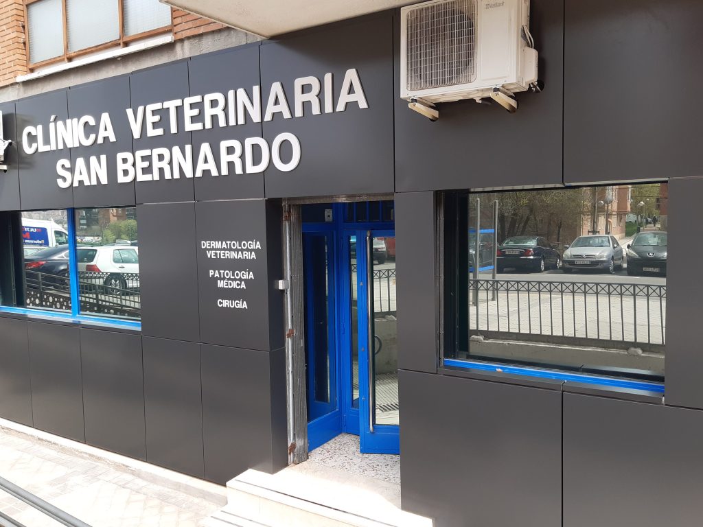 Consultorio Veterinario San Bernardo 1 consultorio veterinario san bernardo