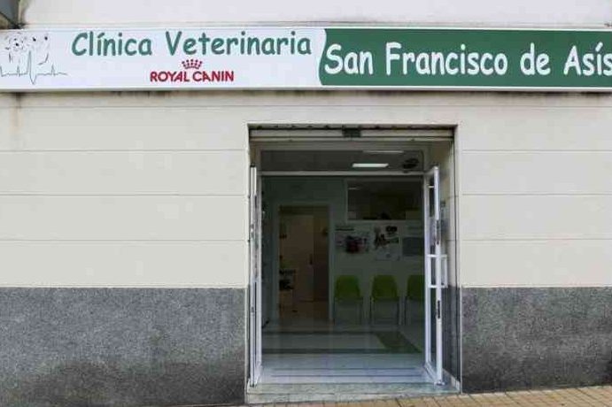 Consultorio Veterinario San Francisco 1 consultorio veterinario san francisco