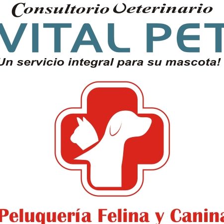 consultorio veterinario vital pet