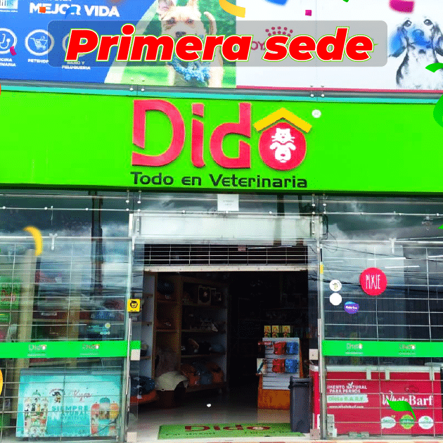 Dido Veterinaria Bellavista 1 dido veterinaria bellavista