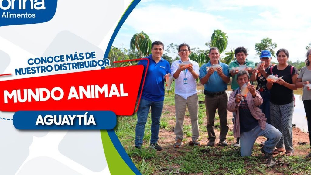 Distribuidor Agopecuario mundo animal 1 distribuidor agopecuario mundo animal