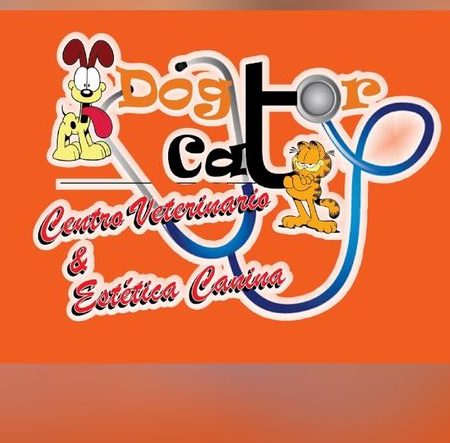 Dogtor Cat Centro Veterinario 1 dogtor cat centro veterinario
