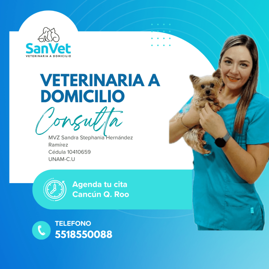 Dr. SanVet Consultorio Veterinario 1 dr sanvet consultorio veterinario