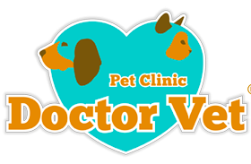 DR VET CLINICA VETERINARIA 1 dr vet clinica veterinaria