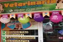 DROMASCOTAS VETERINARIA 1 dromascotas veterinaria