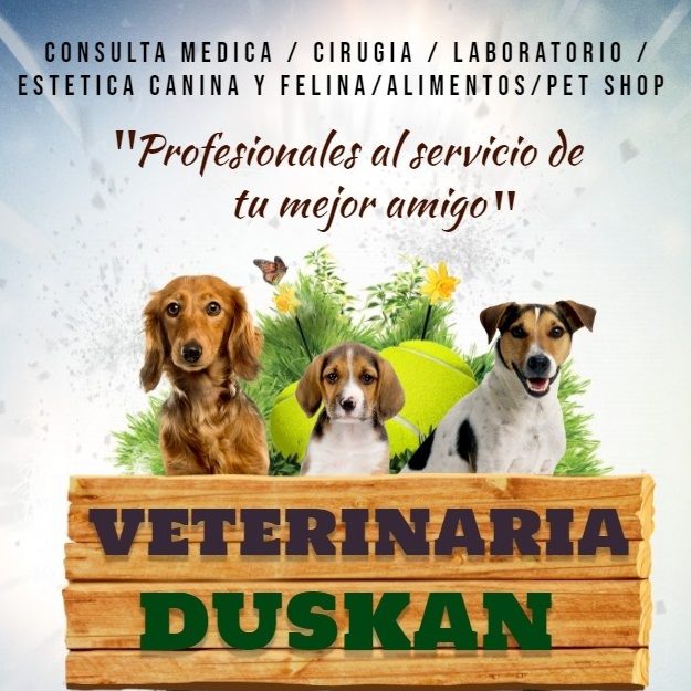 Duskan Centro Medico Veterinario 1 duskan centro medico veterinario