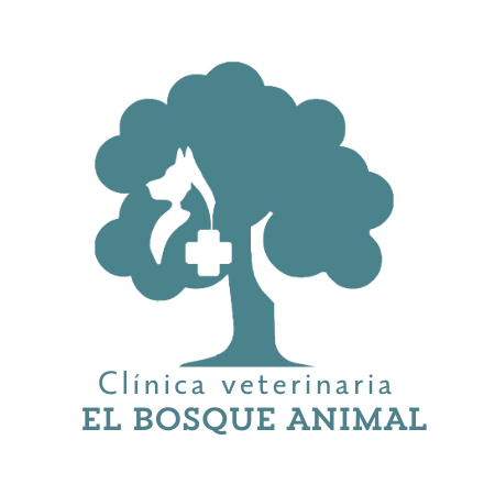 El Bosque Animal Clínica Veterinaria 1 el bosque animal clinica veterinaria
