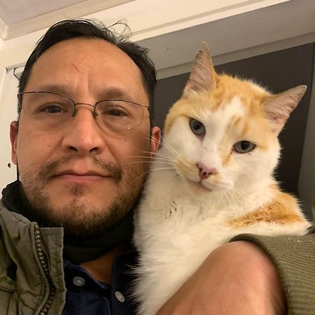 El Gato Amarillo. Clínica veterinaria 1 el gato amarillo clinica veterinaria