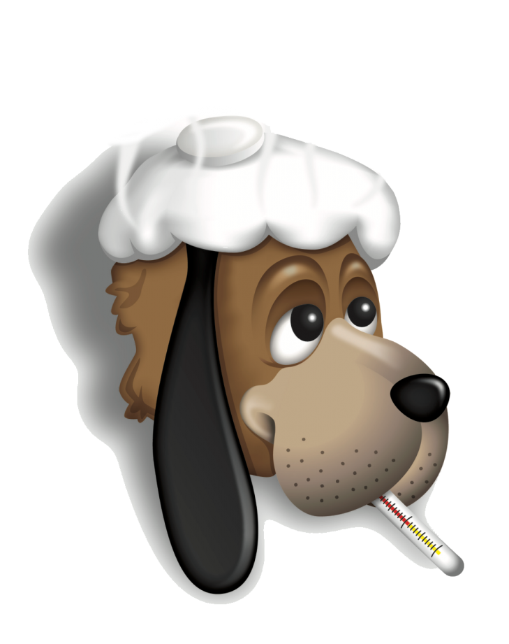 El Mundo de la Mascota 1 el mundo de la mascota