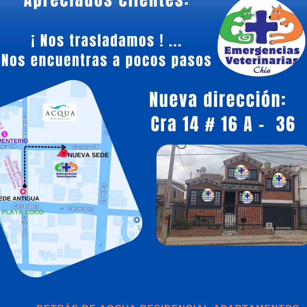 emergencias veterinarias chia
