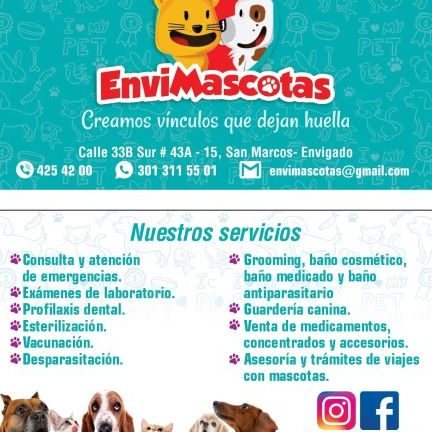 Envimascotas, Clínica Veterinaria en Envigado 1 envimascotas clinica veterinaria en envigado