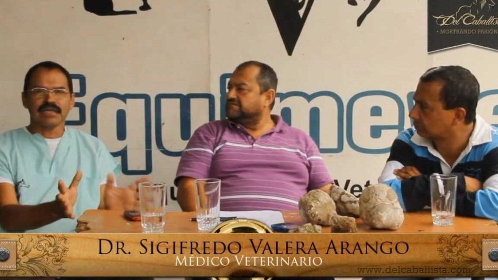 Equimevet 1 equimevet