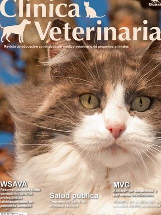 Felindog Centro Veterinario 1 felindog centro veterinario