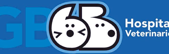 GB Hospital Veterinario 1 gb hospital veterinario