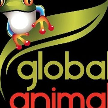 GlobalAnimal 1 globalanimal