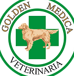 Golden medica veterinaria 1 golden medica veterinaria