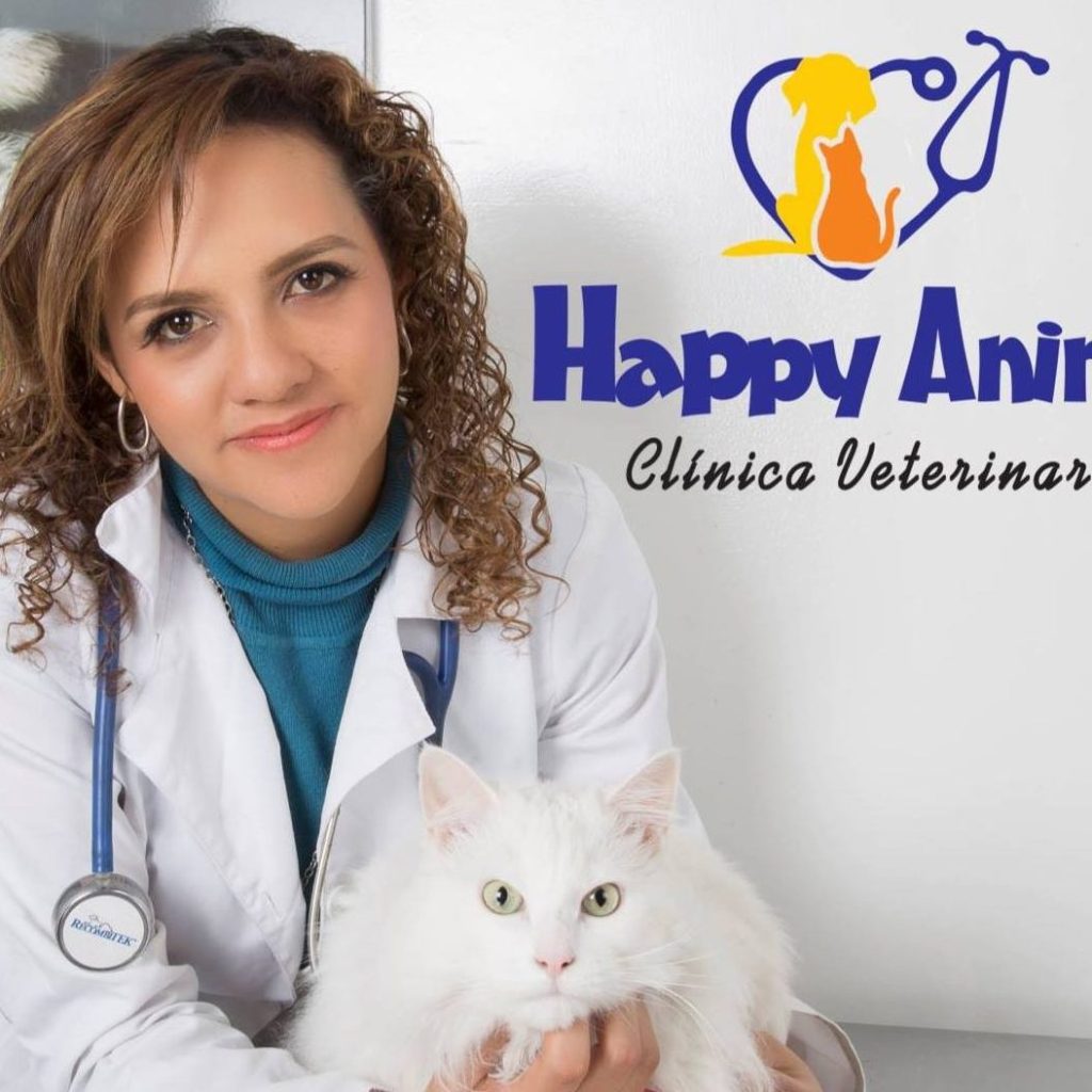 Happy Animals Veterinaria 1 happy animals veterinaria