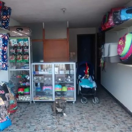 Hospital Medico Veterinario C & C 1 hospital medico veterinario c c