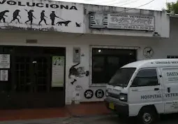 hospital veterinario daktary