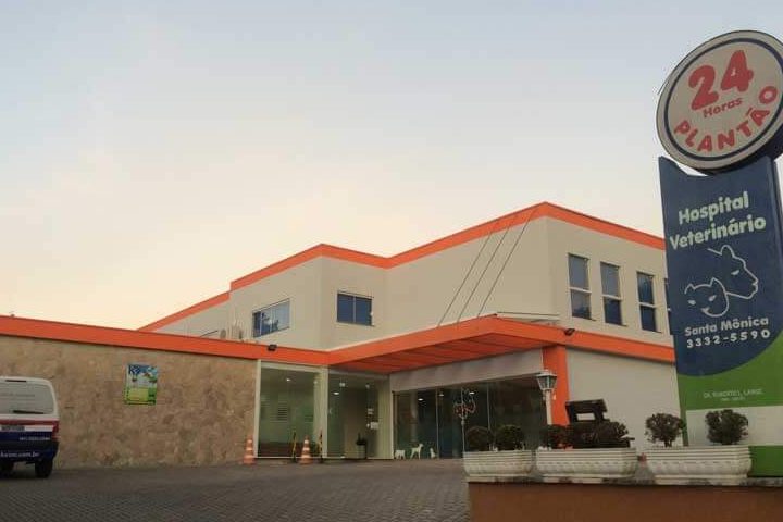 Hospital Veterinario de Santa M贸nica 1 hospital veterinario de santa monica