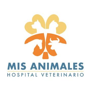 Hospital Veterinario Mis Animales 1 hospital veterinario mis animales