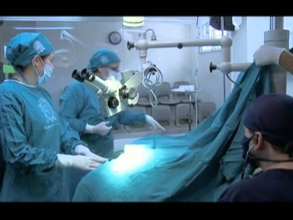 Hospital Veterinario Universidad de Antioquia 1 hospital veterinario universidad de antioquia