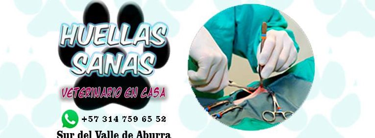 huellas sanas veterinario en casa 1 huellas sanas veterinario en casa