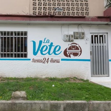 Itagüí Veterinaria - La Vete Clinica Veterinaria 1 itagui veterinaria la vete clinica veterinaria