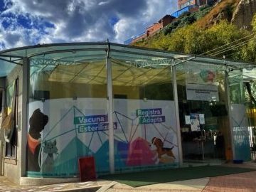 La Casa de su Mascota Veterinaria 1 la casa de su mascota veterinaria