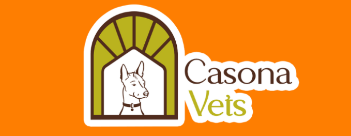 La Casona Clínica Veterinaria 1 la casona clinica veterinaria