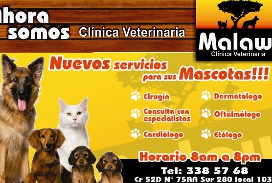 MALAWI Clínica Veterinaria 1 malawi clinica veterinaria
