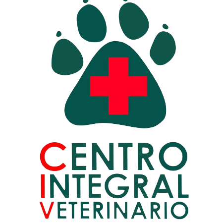 mas vida centro integral veterinario