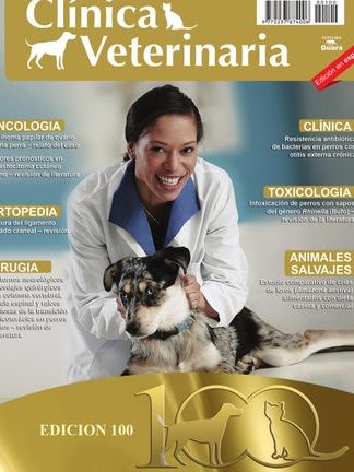 Mascopolis Clínica Veterinaria 1 mascopolis clinica veterinaria
