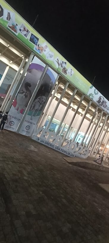 Mascotas Amigas sas 1 mascotas amigas sas