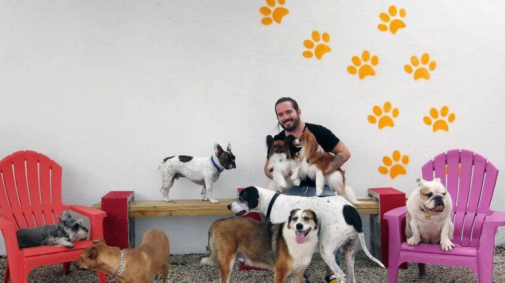 Mascotas y spa LA MEJOR 1 mascotas y spa la mejor