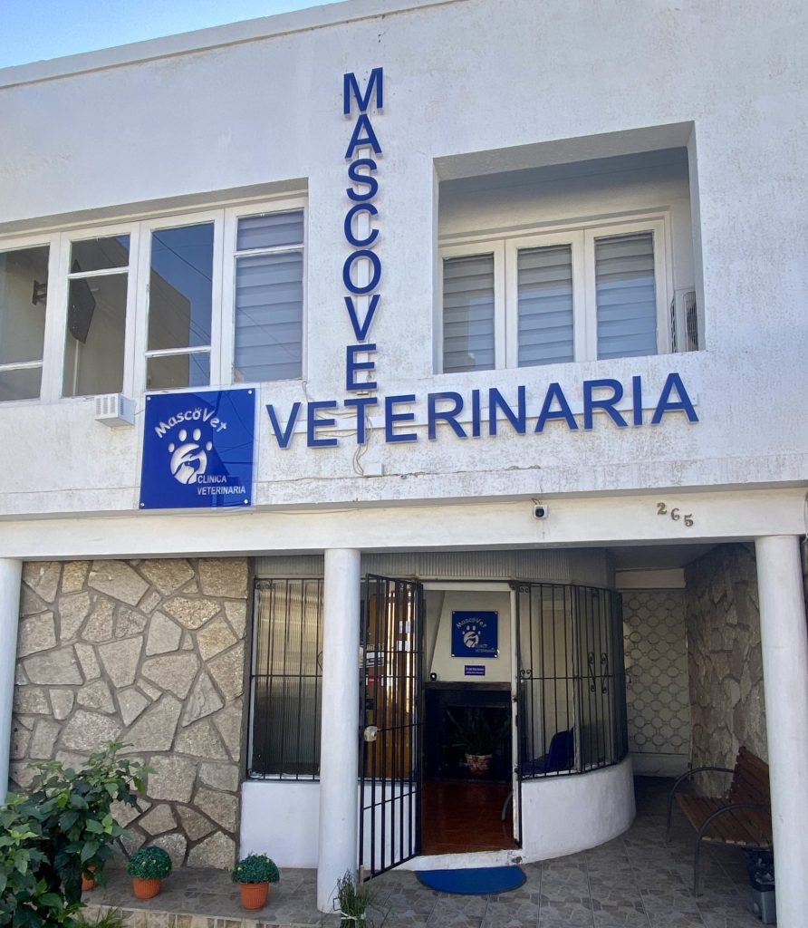 Mascovet 1 mascovet