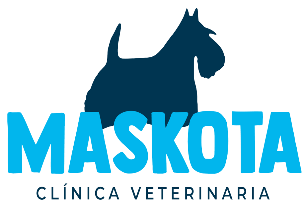 Maskotas Clínica Veterinaria 1 maskotas clinica veterinaria