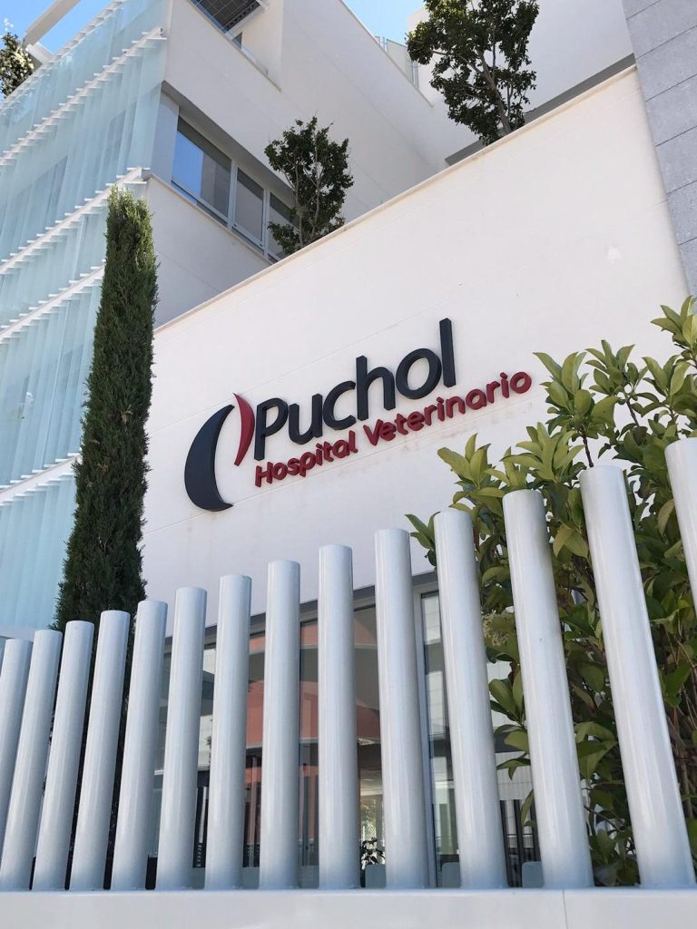 Matilda Centro Veterinario 1 matilda centro veterinario