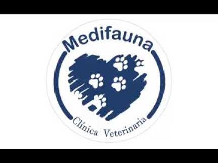 Medifauna Clinica Veterinaria 1 medifauna clinica veterinaria