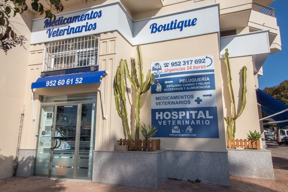 MediMascotas Clínica Veterinaria 1 medimascotas clinica veterinaria