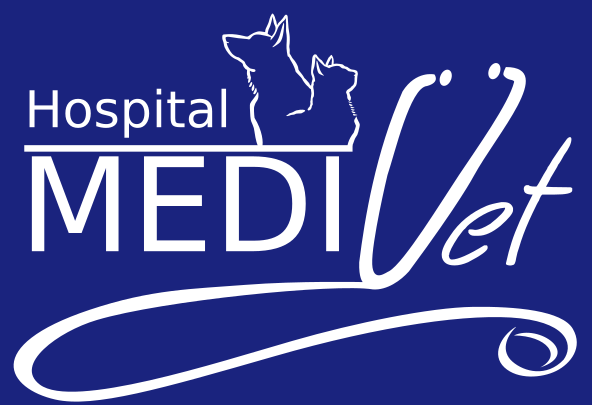Medivet hospital veterinario 1 medivet hospital veterinario