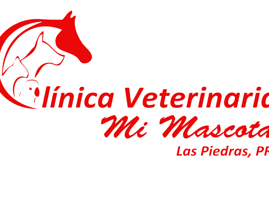 Mi Mascota Centro Veterinario 1 mi mascota centro veterinario