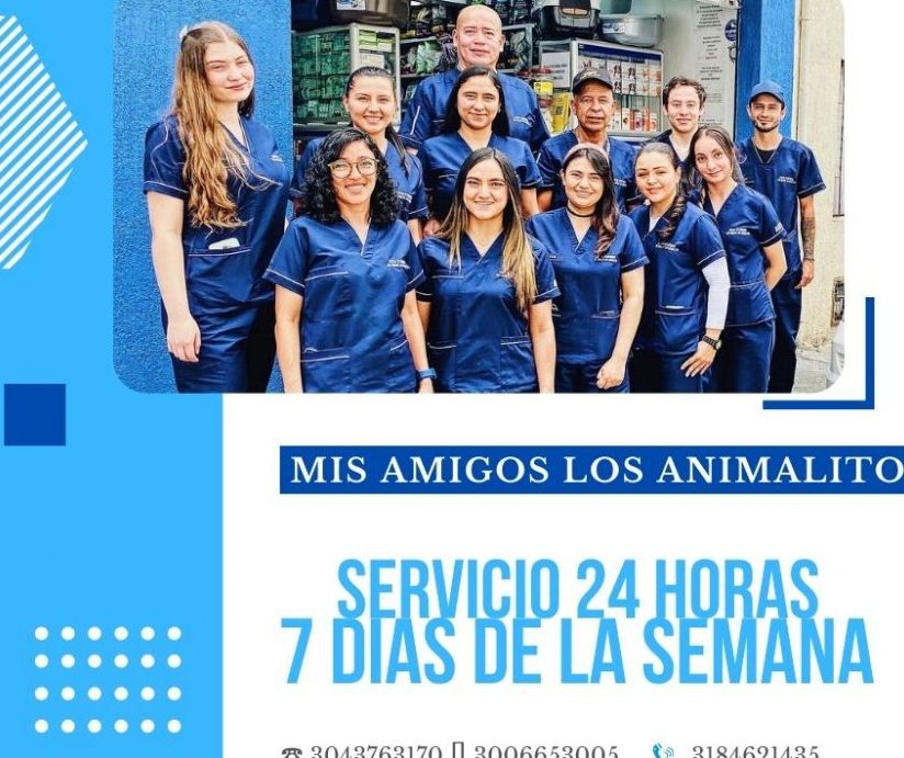 MIS AMIGOS LOS ANIMALITOS CENTRO 1 mis amigos los animalitos centro