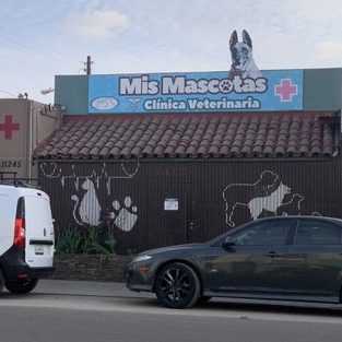 Mis Mascotas Vet 1 mis mascotas vet