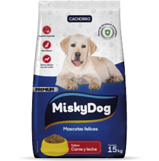 MISKY Veterinaria 1 misky veterinaria