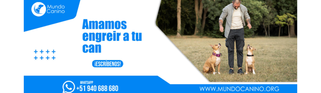 Mundo Canino Petshop 1 mundo canino petshop
