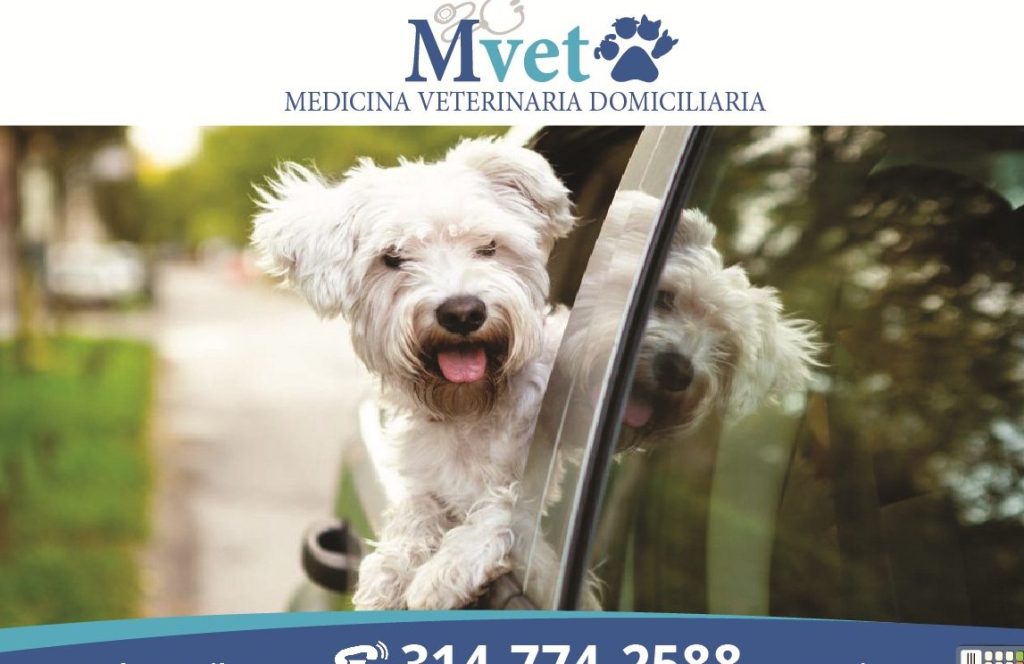 Mvet Medicina Veterinaria Domiciliaria 1 mvet medicina veterinaria domiciliaria