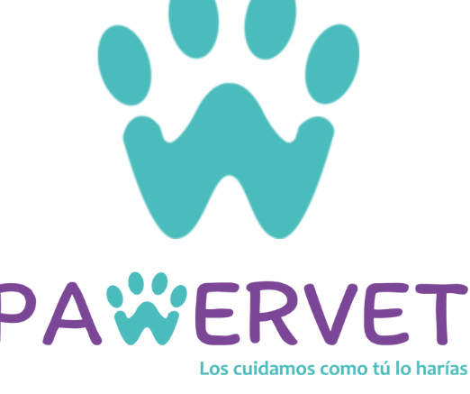 Pawervet Clinica Veterinaria Mosquera 1 pawervet clinica veterinaria mosquera
