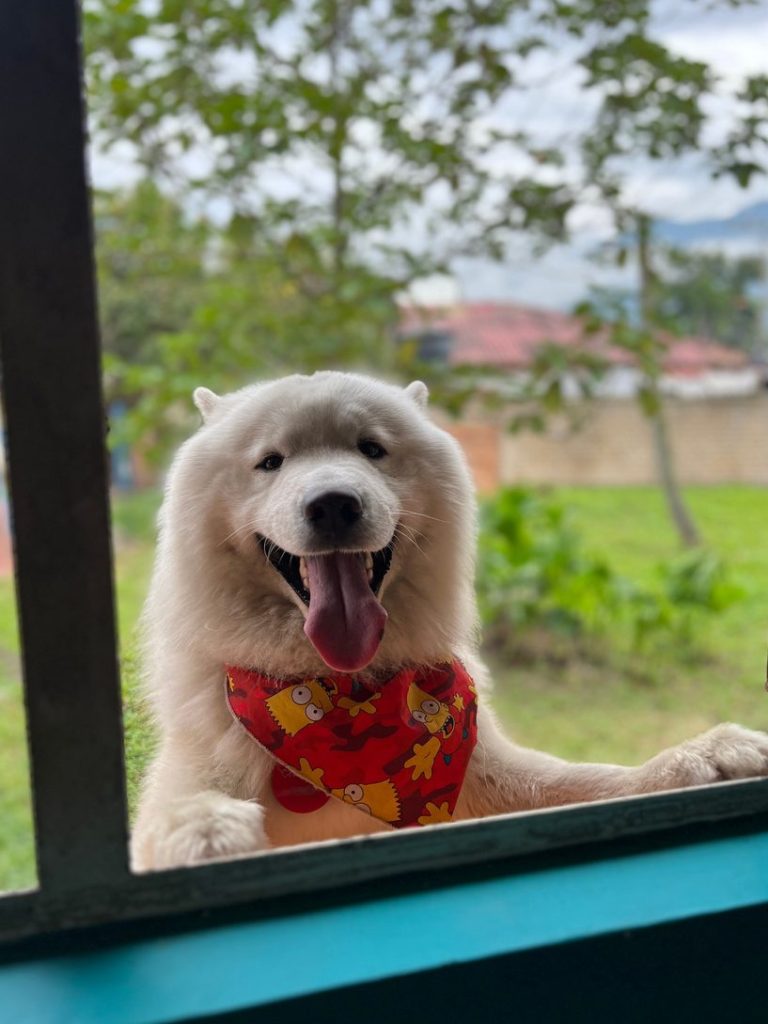 PelineciosVilleta 1 pelineciosvilleta