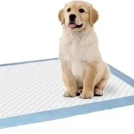 Peluquería canina Petmax 1 peluqueria canina